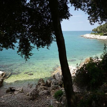 Guesthouse Galeb Vrsar Kültér fotó