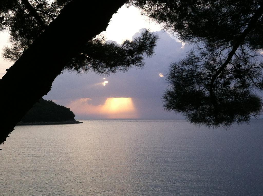 Guesthouse Galeb Vrsar Kültér fotó